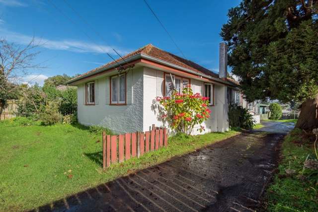 123 Astley Avenue New Lynn_4