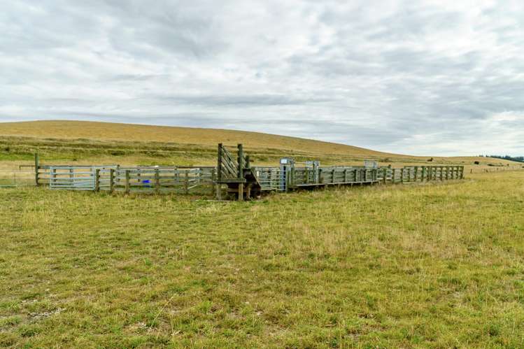 305 Bypass Road Ranfurly_15
