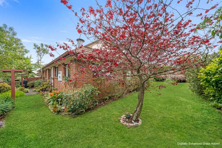 1/77 Blockhouse Bay Road Avondale_15