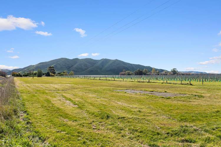 1960 Redwood Pass Road Seddon_27