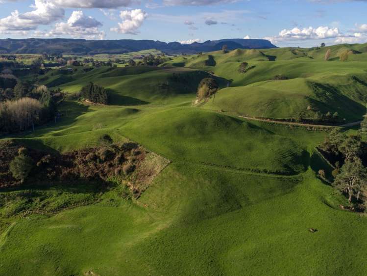 45 Matapan Road Atiamuri_4