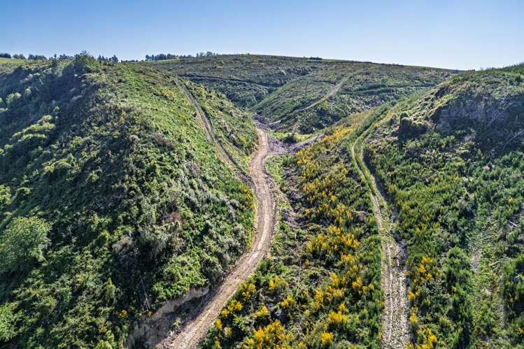 285 Greenvale Road Geraldine_12