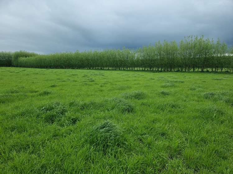 140 Hudsons Road Lincoln_35