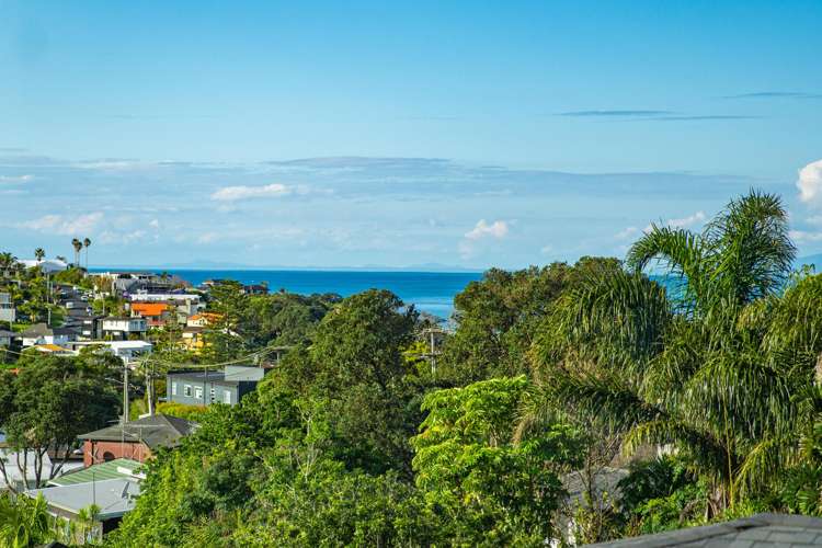 1D Clematis Avenue Murrays Bay_10