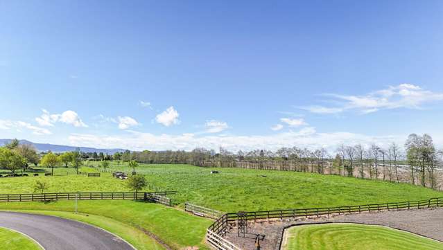 Lot 1,2,3/85 Everad Ave Matamata_1