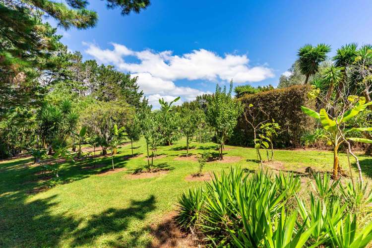 379C Tara Road Mangawhai_25