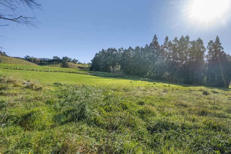 60 Saxton Road Upper Vogeltown_8