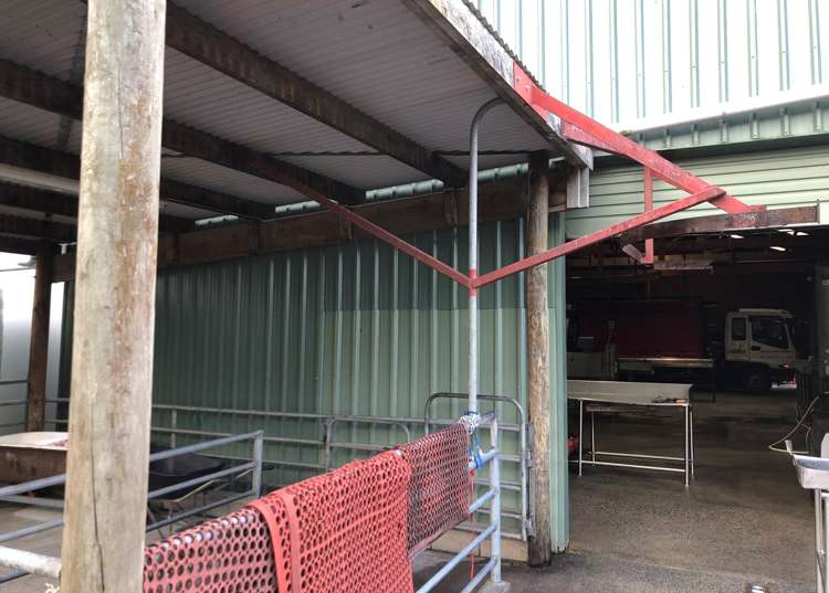 23 Ngutunui Road Puketotara_12