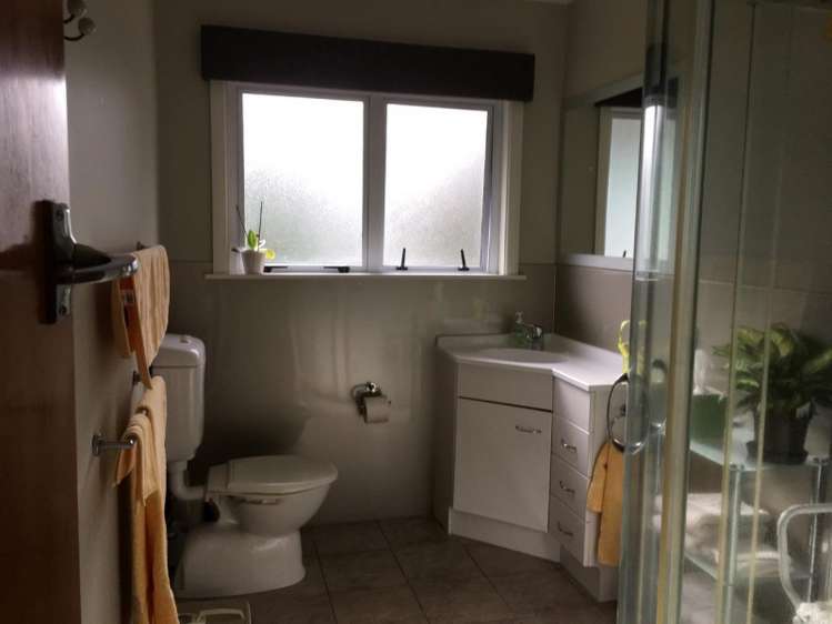 6 Fitzgerald Avenue Matamata_7