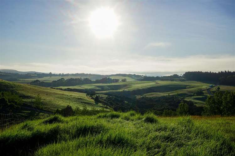 785d Purerua Road Kerikeri Surrounds_9