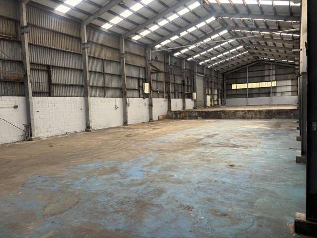 589 Rosebank Road Avondale_3