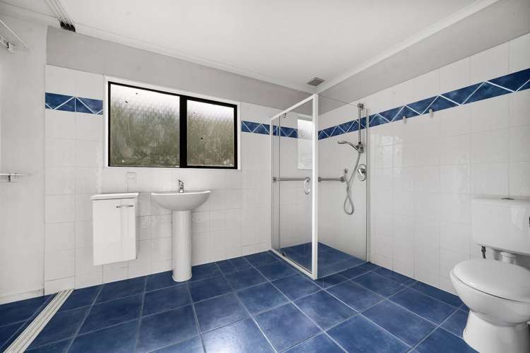 220 Popes Road Takanini_9