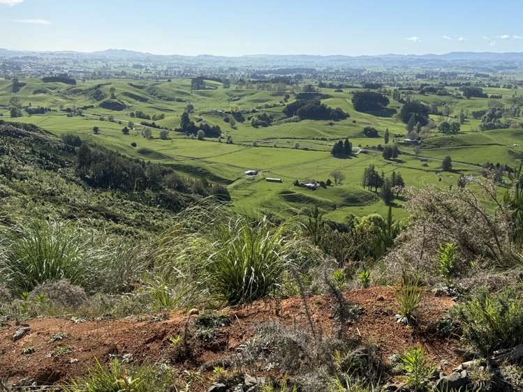 276B Waitomo Valley Road Otorohanga_20