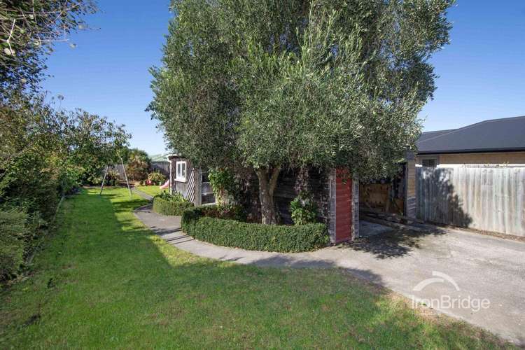 36 Percy Street Phillipstown_13