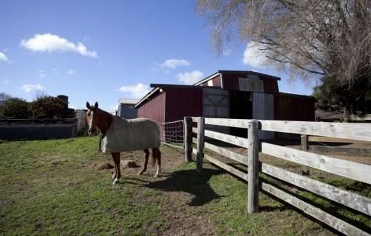 227 Hicks Road Cambridge_14