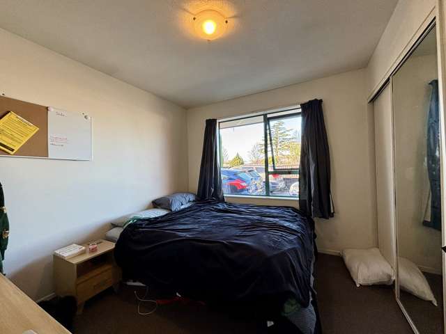 141 Lincoln Road Addington_4