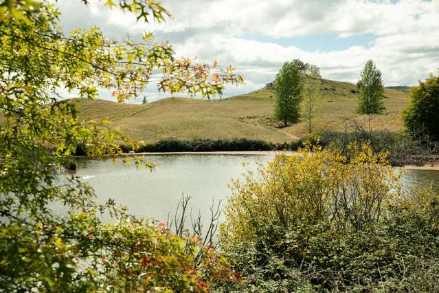 2412 Taihape Road Sherenden_2
