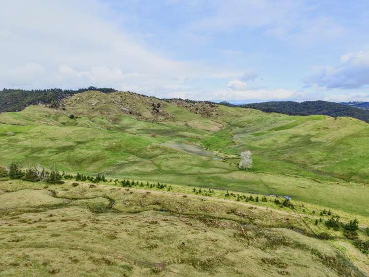 Lot 1-3 36 Te Moho Road Taipa_39