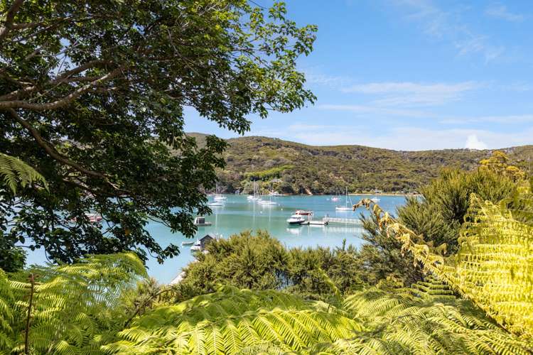 - Lot 101 DP 4961, North Cove Kawau Island_16