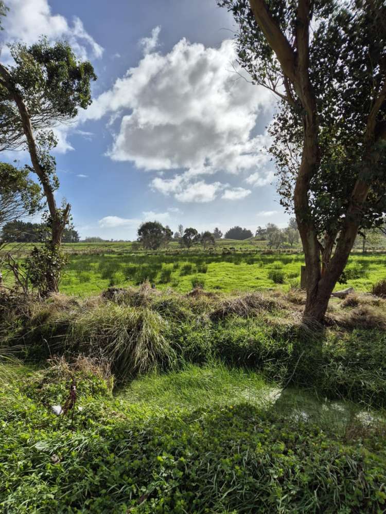 50B Painua Road Hokio Beach_11