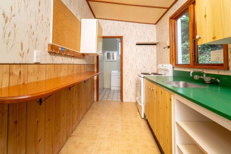 70 Buccleugh Street North East Valley_13