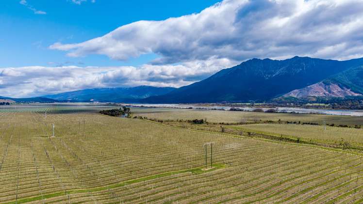 4816 State Highway 63 Wairau Valley_12