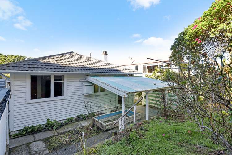 14 Mccoll Street Vogeltown_16