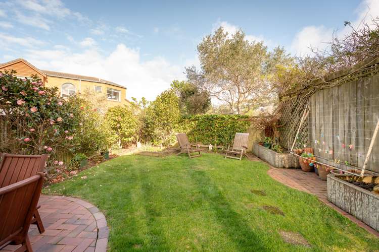 11/9 Arawa Road Hataitai_3