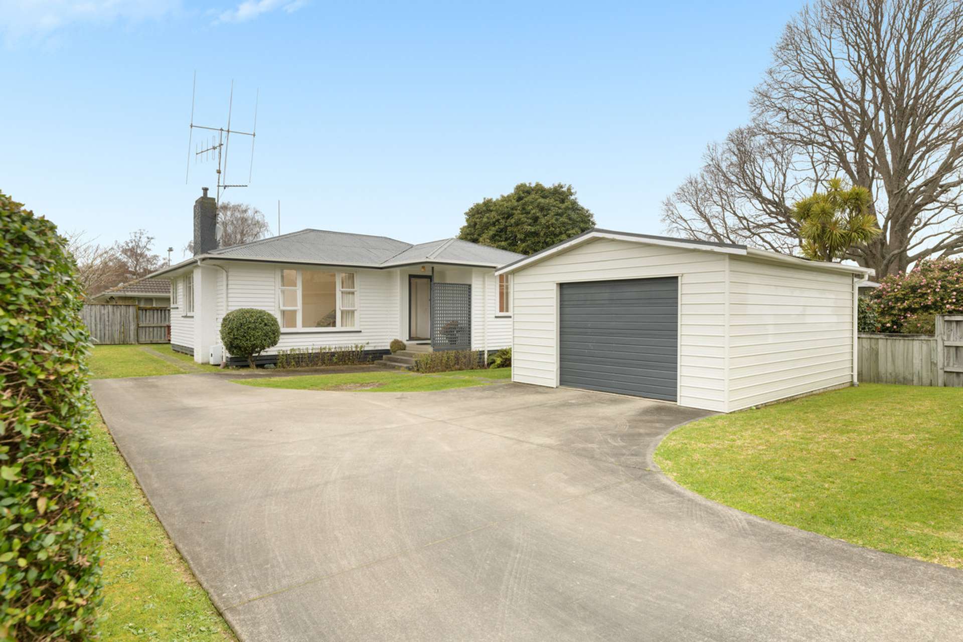 81b Windsor Road Bellevue_0