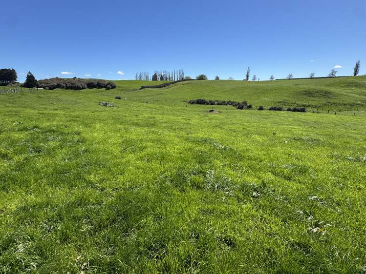 530 Mangatutu Rd RD3 Maihiihi_6