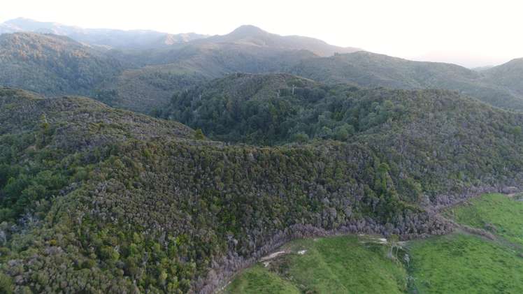 60 Snake Creek Road Kahurangi National Park_29