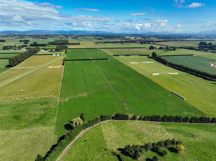 170 Norman Road Winton Surrounds_5