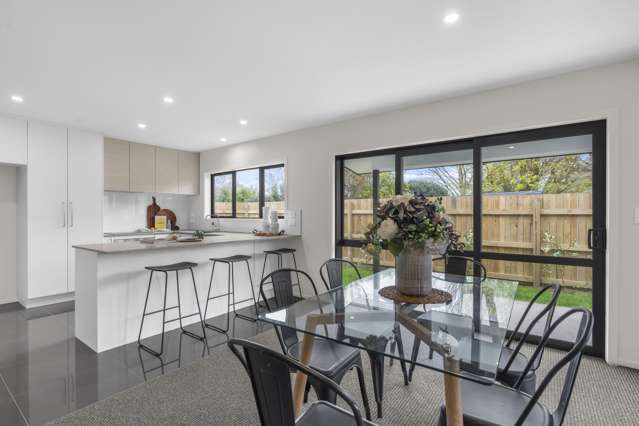 35B Fleet Street Masterton_2