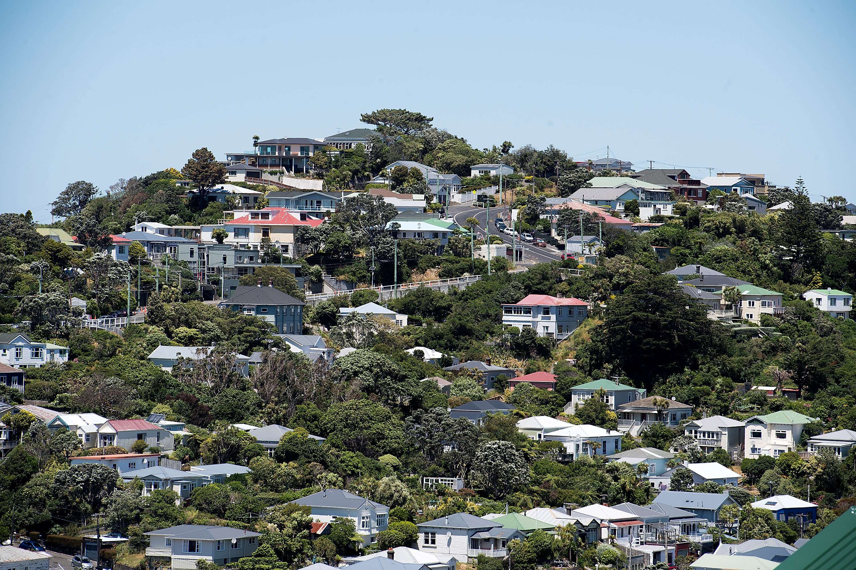 Brooklyn, Wellington City - Suburb Profile and Property Market Trends.