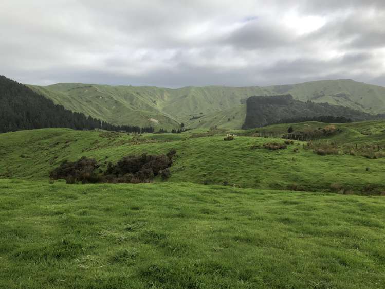 337 Saunders Road Eketahuna_20