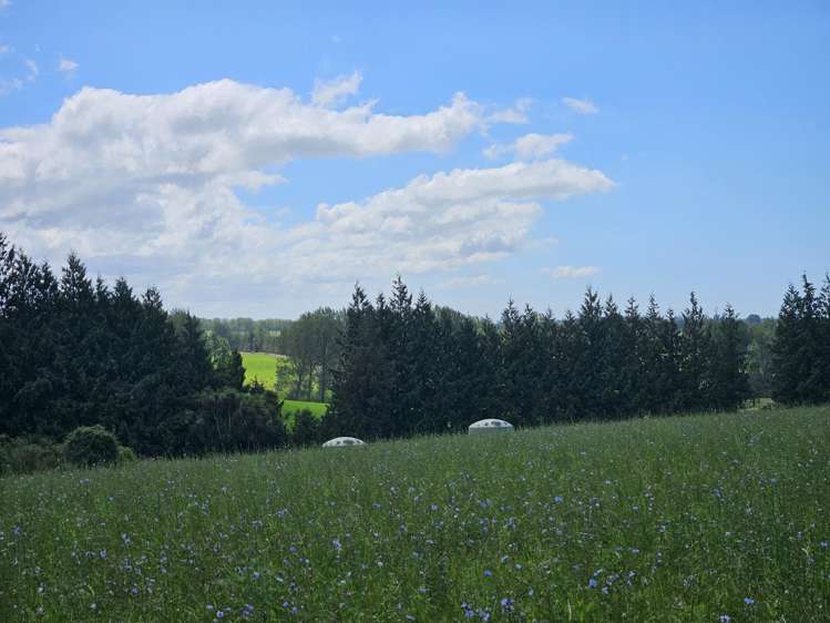 Lot 1 Brownleas Road Waimate_7