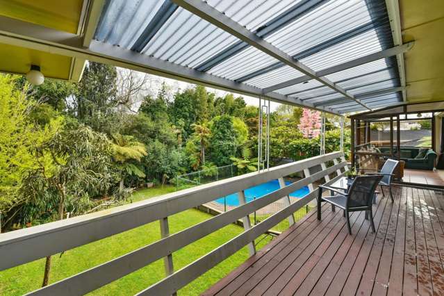 158 Seddon Street Pukekohe_4