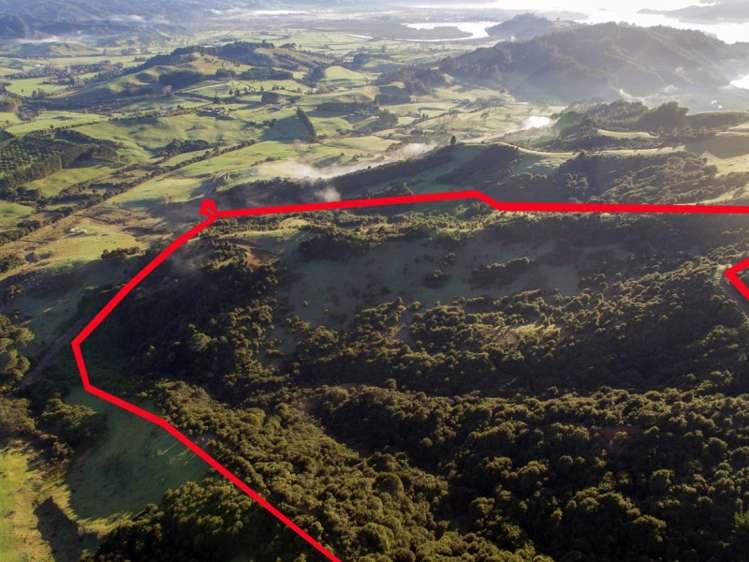 119 Fagan Lane Kaimarama_7