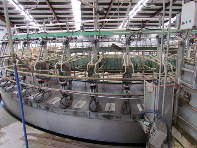 219 Beacon Hill Road Clinton and Surrounds_15