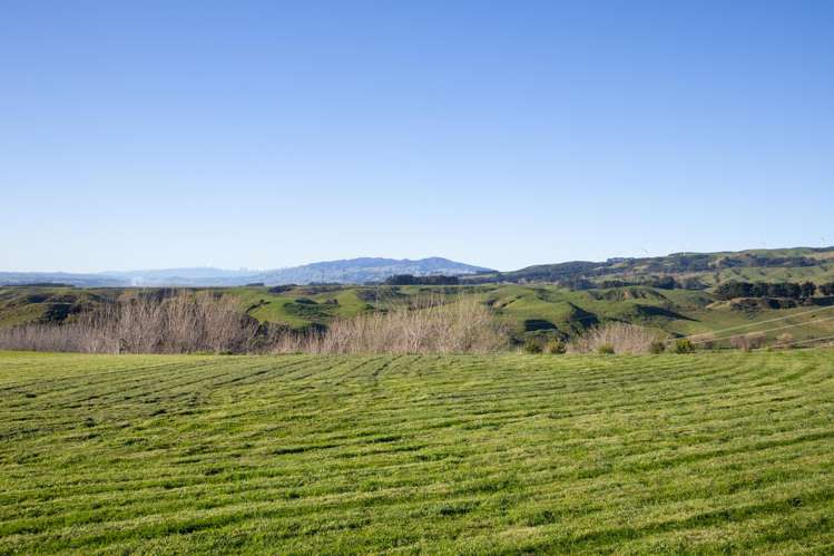 152 Kingsdale Park Drive Aokautere_9