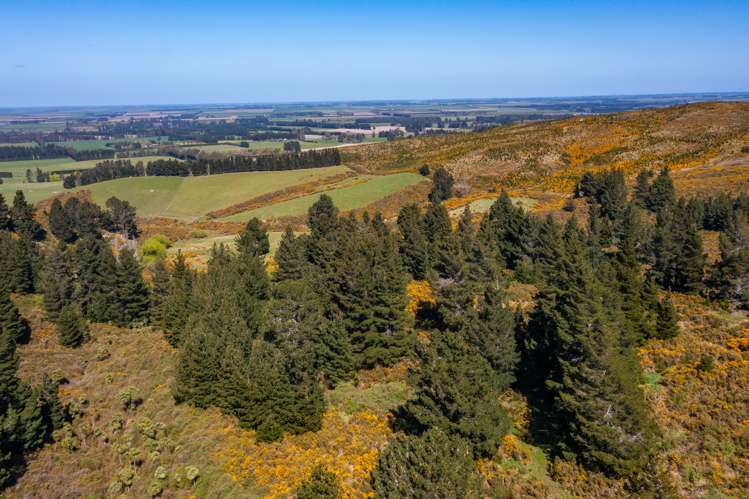 Maffeys Road Glentunnel_3