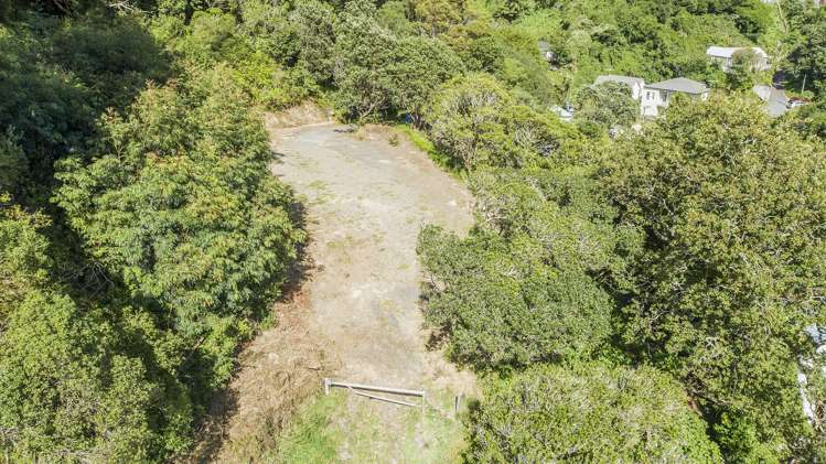 1C Holloway Road Aro Valley_7