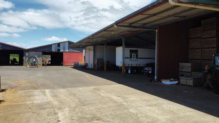 29 Dazeley Road Puni_4