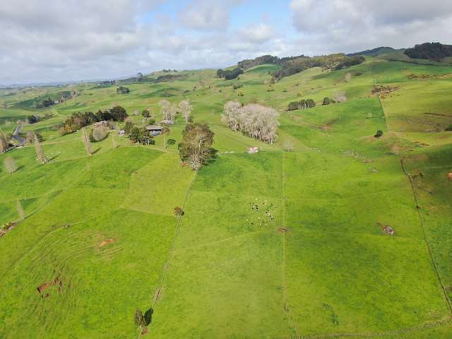 406 Aria Road Piopio_1