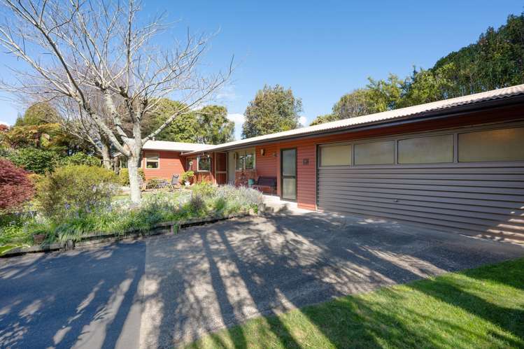 10 McDowell Street Springfield_29