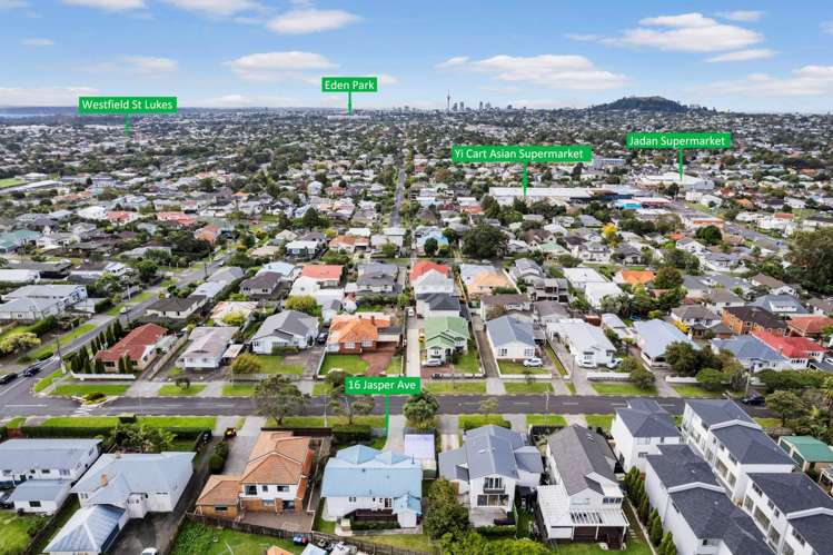 16 Jasper Avenue Mount Roskill_19