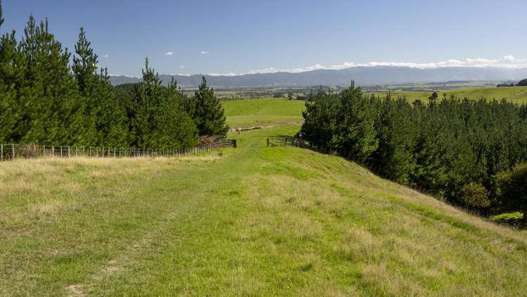 453 Dry River Road Martinborough_10