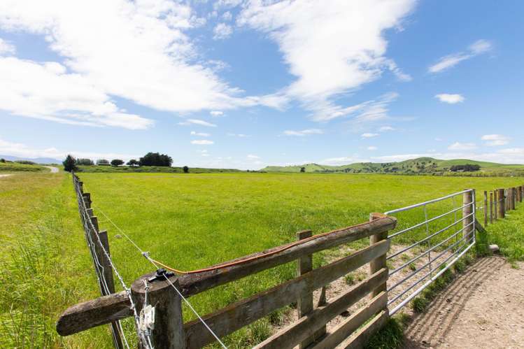 253 Oringi Road Dannevirke_16