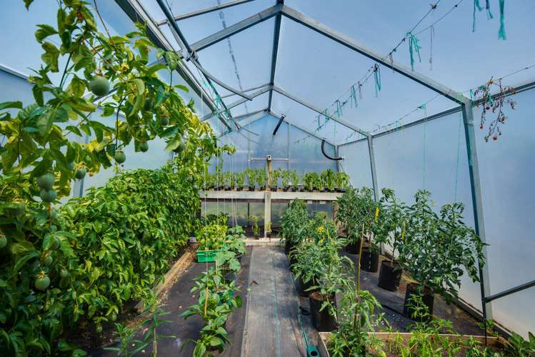 59 Queenspark Drive Parklands_12