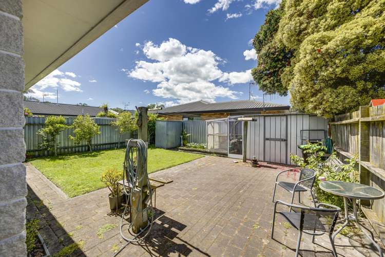 173 Avondale Road Greenmeadows_13
